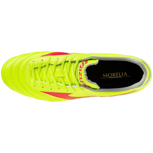 Morelia II Pro MD