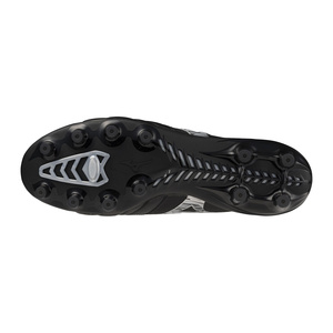 Morelia Neo IV β Japan FG