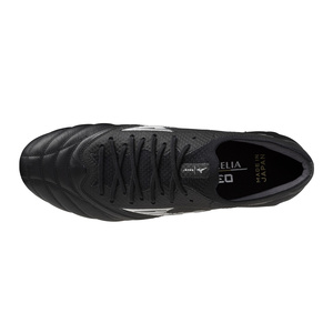 Morelia Neo IV β Japan FG