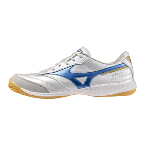 Morelia Sala Pro In
