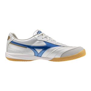 Morelia Sala Pro In