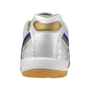 Morelia Sala Pro In