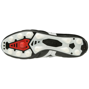 Morelia II Japan FG
