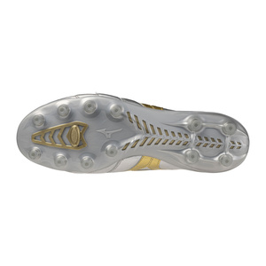 Morelia DNA Japan