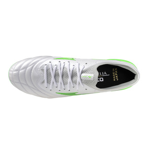 Morelia Neo IV β Japan Mix