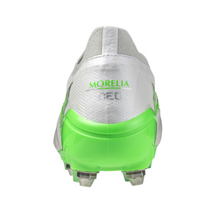 Morelia Neo IV β Japan Mix