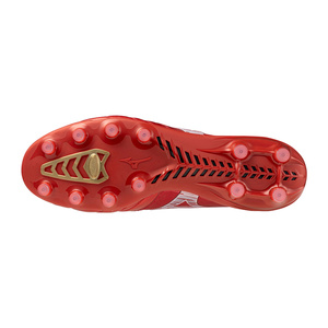 Morelia Neo IV β Japan FG